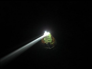  Grave Montepelosello 